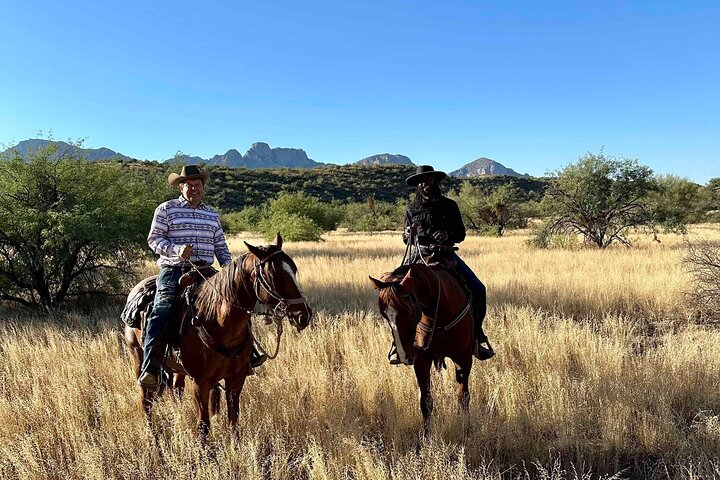 Guided 90 Min Horseback Ride Catalina State Park Coronado Forest - Photo 1 of 8